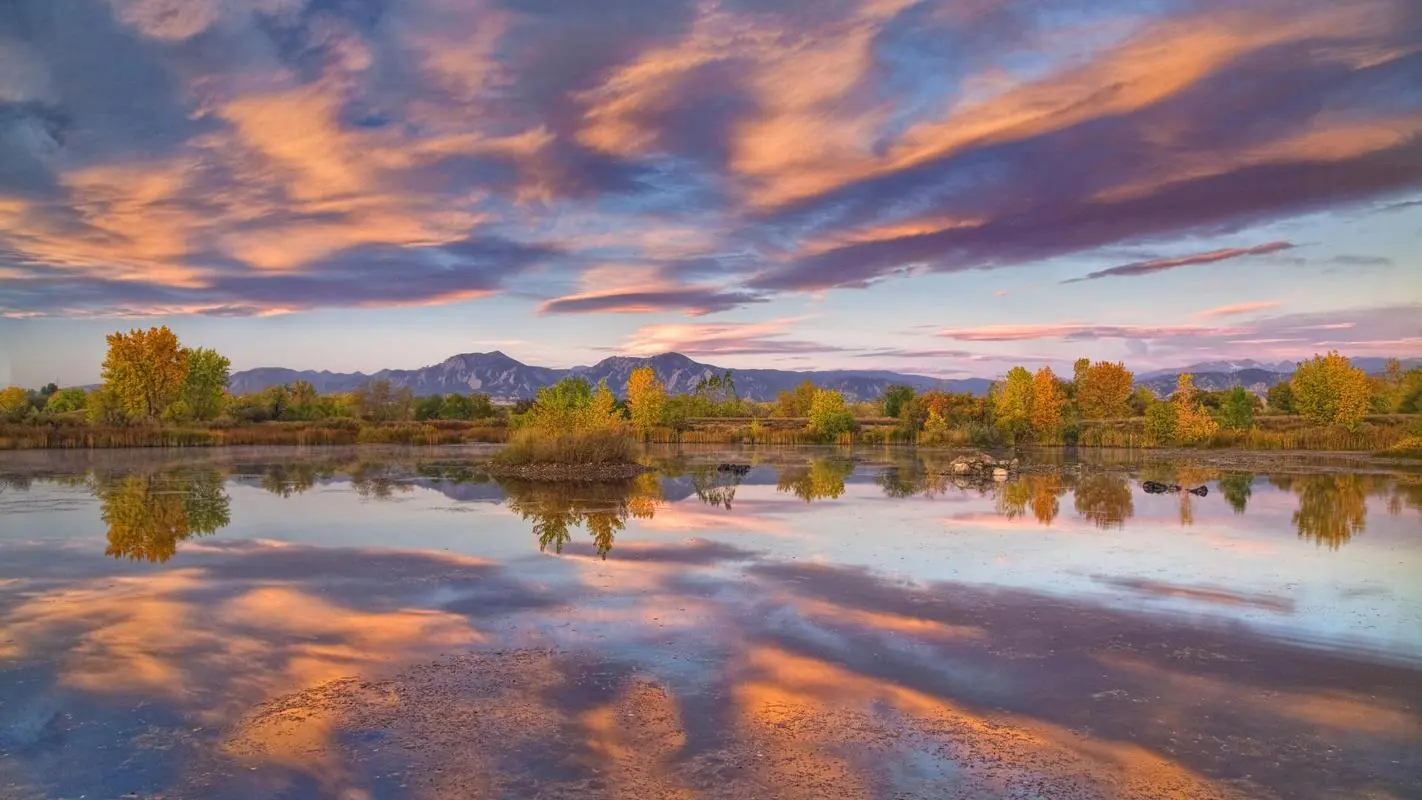 全自动独特精密